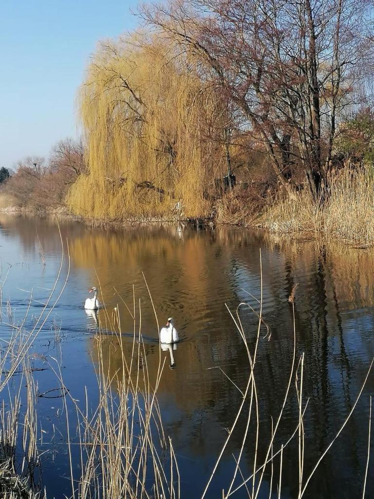 *Dana Pokoje Goscinne Gdansk Exterior photo